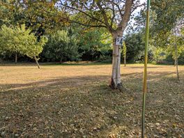 Pitch 4 south paddock