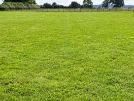 Non-electric grass pitches