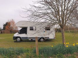 Can pitch whichever way you like on very spacious pitches.