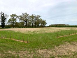 View of non-electric pitches from entrance