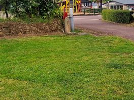 Pole