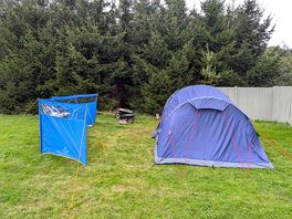 Great size pitches with loads of room