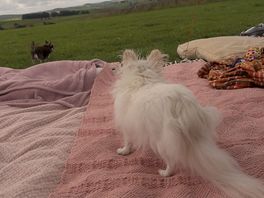 On guard