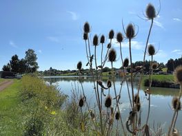 View across the lake