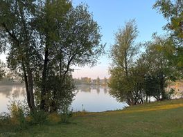 Lake view