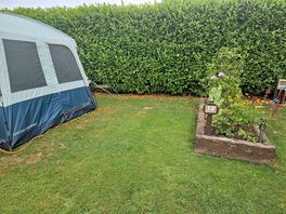 So much room