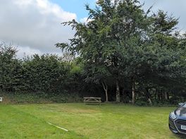 Pitch