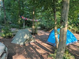 Our spot