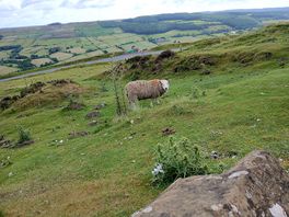 Gateway to the moors