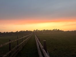Sunset from near the animals fields