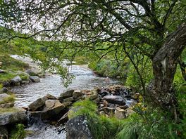 Wild swimming in the shilley pool.