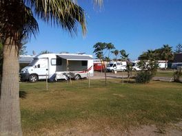 Open grass pitch with optional electricity for caravans and motorhomes