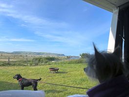 View from camper