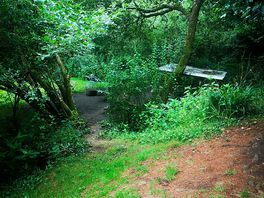 View to firepit from tent