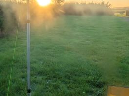 Caught the morning sun