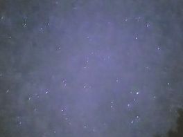 Stars