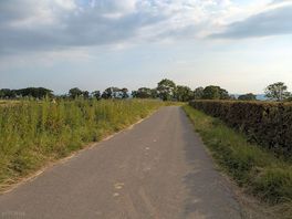 Local country lanes
