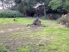 Garden area