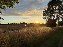 Another sunset