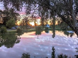 Pitches round the small fishing lake