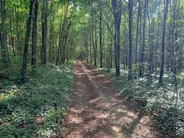 Local walking/cycling on a pilgrims path