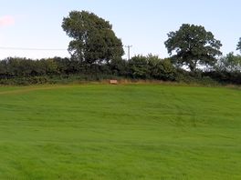 The next field, with the bench with a view