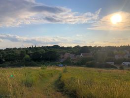 View from local walk