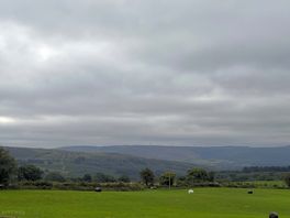 Morning view