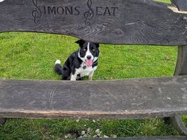 Simon's seat
