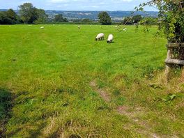Lovely views