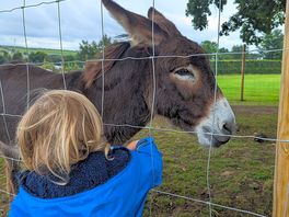 The animals are a lovely added bonus