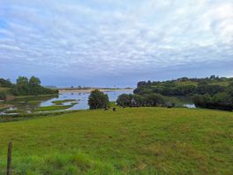 Hundewiese... linnks nb. cp.