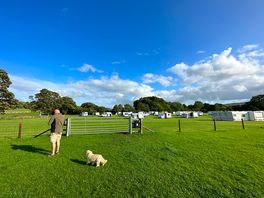 Dog facilities