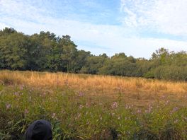 Field across the river