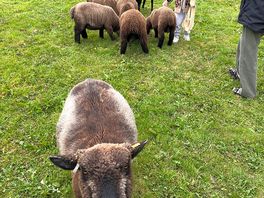 We were tempted to steal one but decided to just make sure we come back to visit instead.