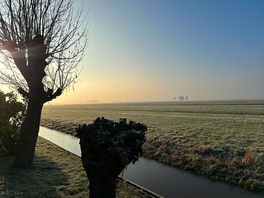 View over local fields
