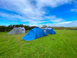 Grass pitches