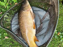 Fish from lake