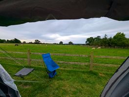 Room with a view