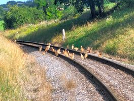 The railway