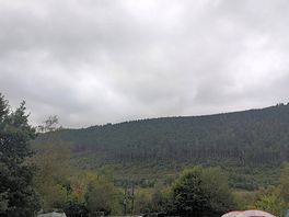 Campsite on a cloudy day