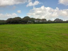 Camp field