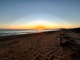 Beach sunrise