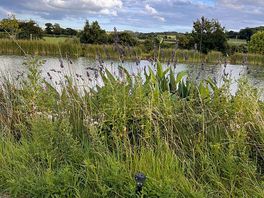 View of lake behind pub