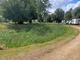 The site