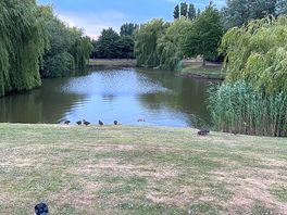 Lake at pods