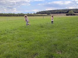 Freedom to roam!