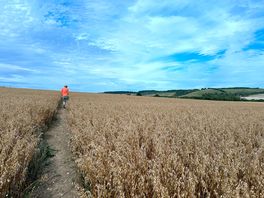 Walk to pub