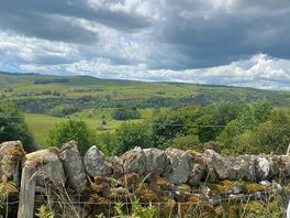 The beautiful view from our caravan