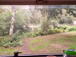 View from our van first thing!
